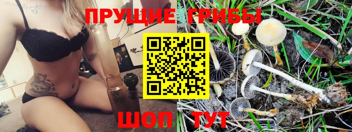 Семёнов  Псилоцибиновые грибы Cubensis  Вход с VPN 